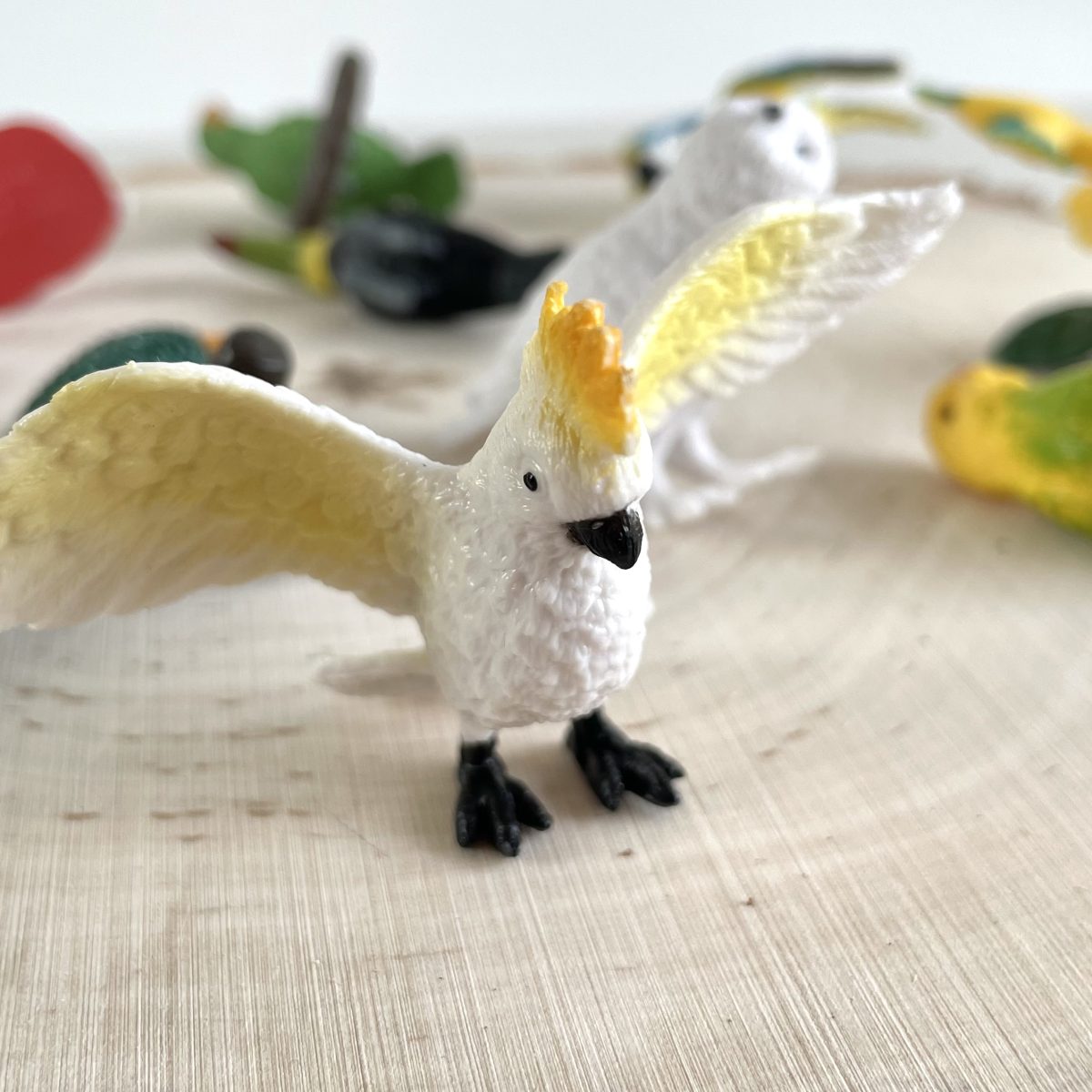 Safari Ltd: Egzotyczne Ptaki. Zestaw Figurek w Tubie. - obrazek 5