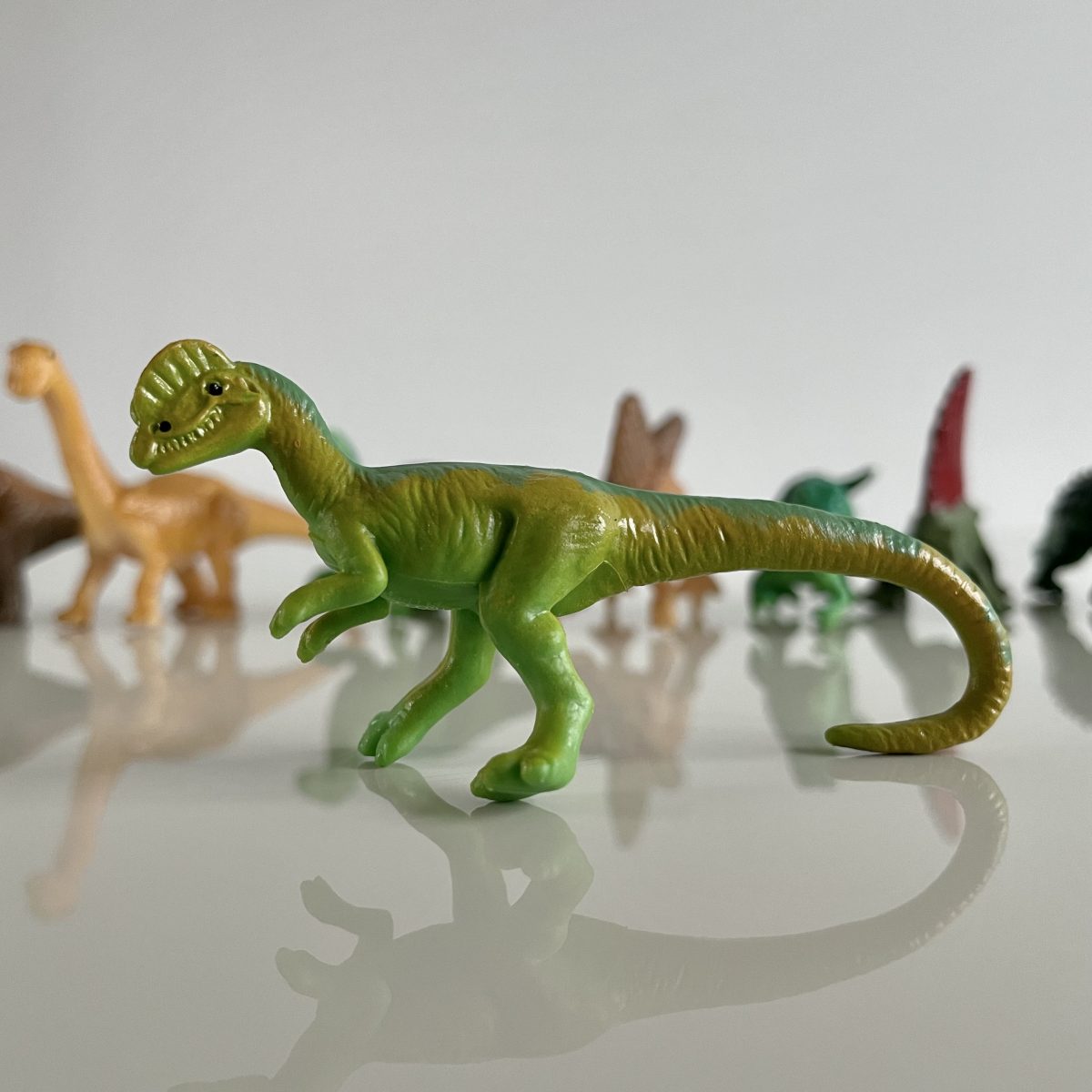 Produktowe-11 Safari Ltd: Dinozaury. Zestaw Figurek w Tubie. - obrazek 5