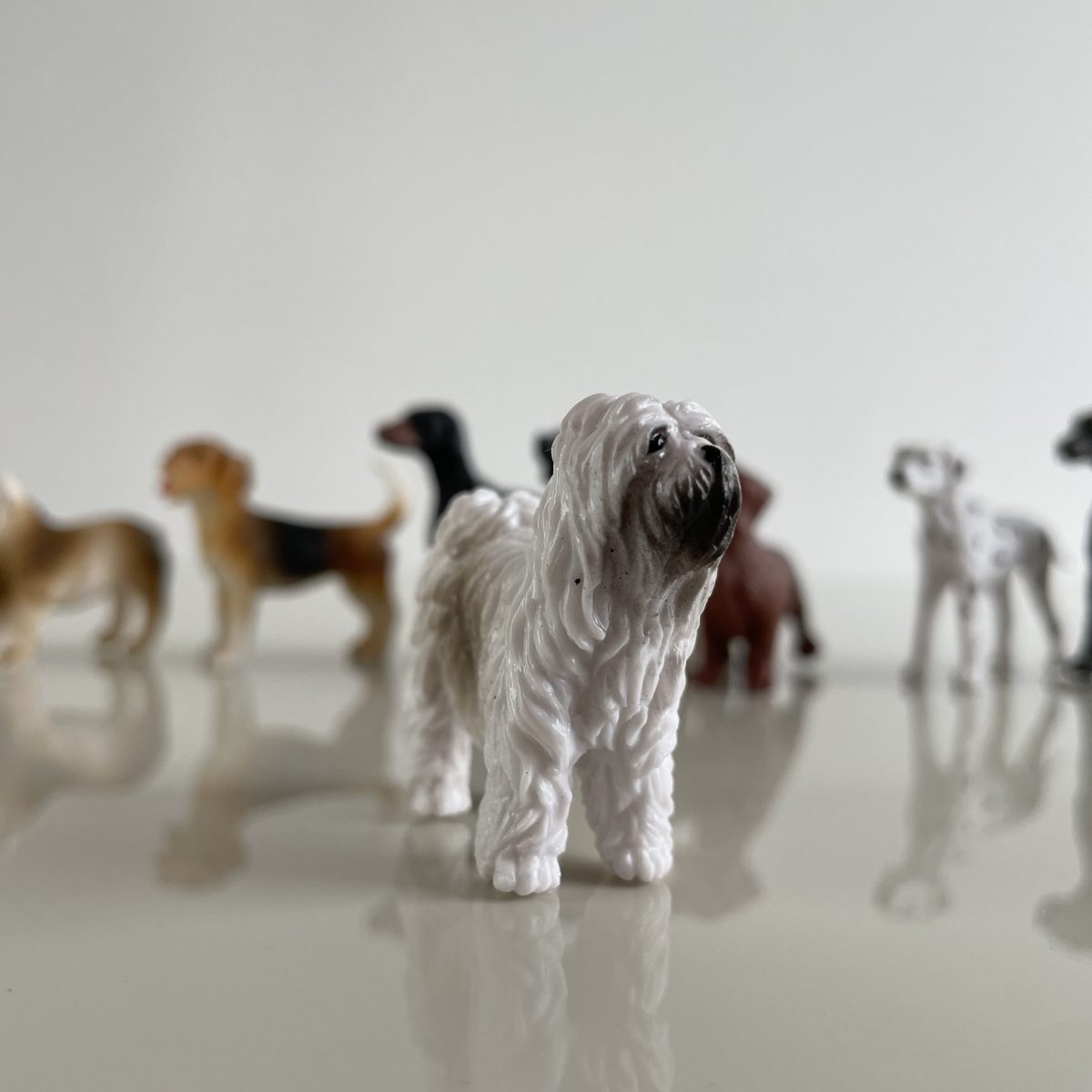 Safari Ltd: Psy. Zestaw Figurek w Tubie. - obrazek 6