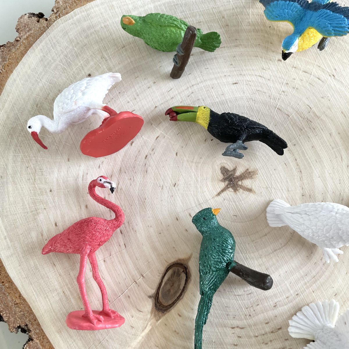 Safari Ltd: Egzotyczne Ptaki. Zestaw Figurek w Tubie. - obrazek 4