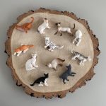Safari Ltd: Koty Domowe. Zestaw Figurek w Tubie. - obrazek 2