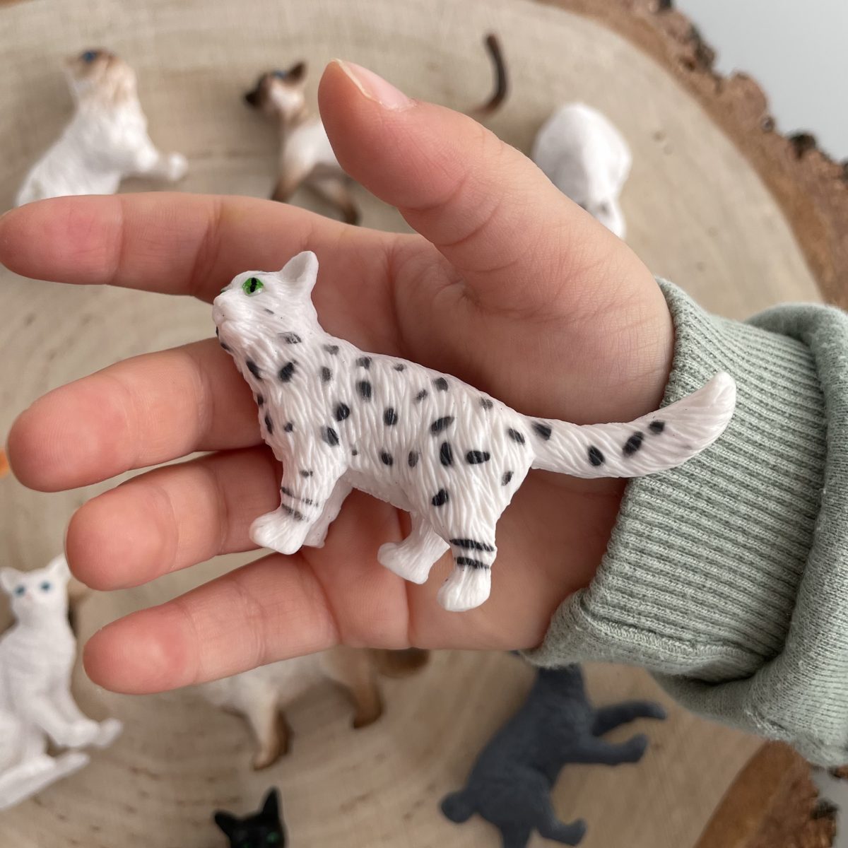 Produktowe-14 Safari Ltd: Koty Domowe. Zestaw Figurek w Tubie. - obrazek 7