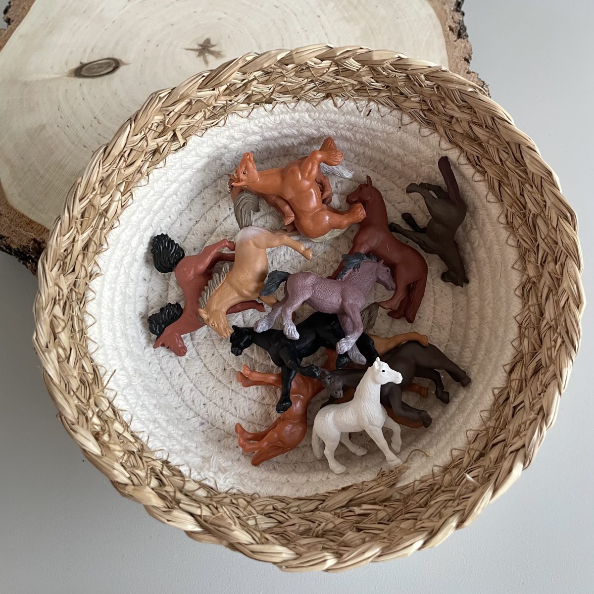 Safari Ltd: Konie. Zestaw Figurek w Tubie. - obrazek 2