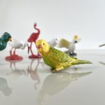 Safari Ltd: Egzotyczne Ptaki. Zestaw Figurek w Tubie. - obrazek 2