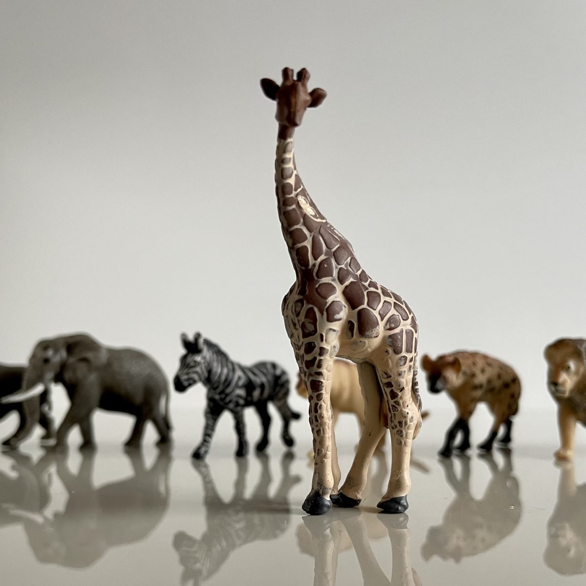 Produktowe-3 Safari Ltd: Zwierzęta Południowej Afryki. Zestaw Figurek w Tubie. - obrazek 5