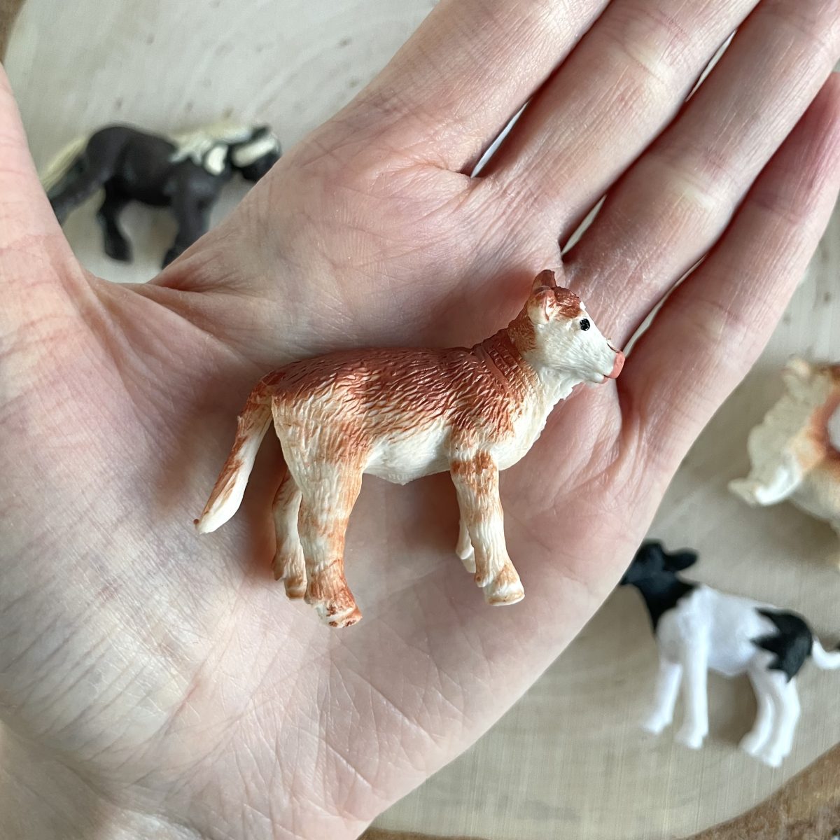 Produktowe-3 Safari Ltd: Małe Zwierzątka na Wsi. Zestaw Figurek w Tubie. - obrazek 5