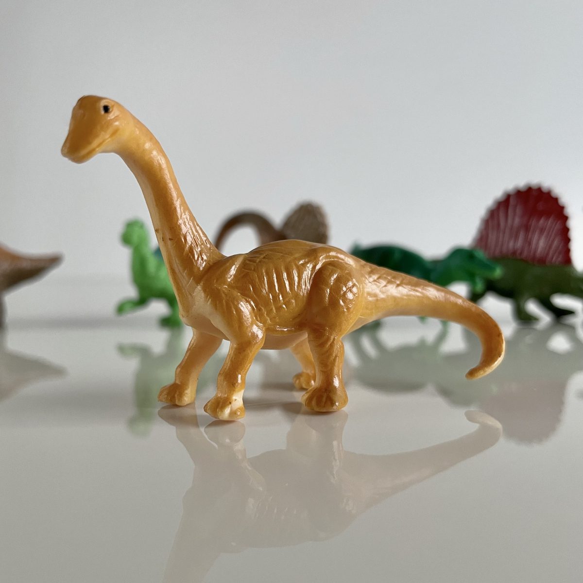 Produktowe-4 Safari Ltd: Dinozaury. Zestaw Figurek w Tubie. - obrazek 7