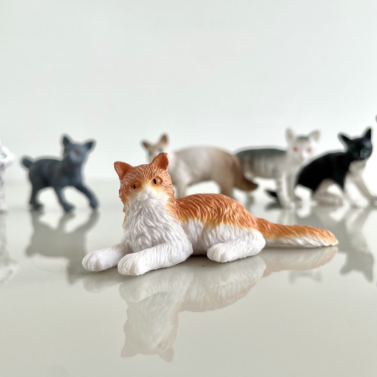 Produktowe-4 Safari Ltd: Koty Domowe. Zestaw Figurek w Tubie. - obrazek 5