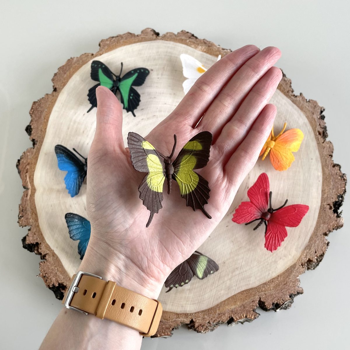 Safari Ltd: Motyle. Zestaw Figurek w Tubie. - obrazek 5