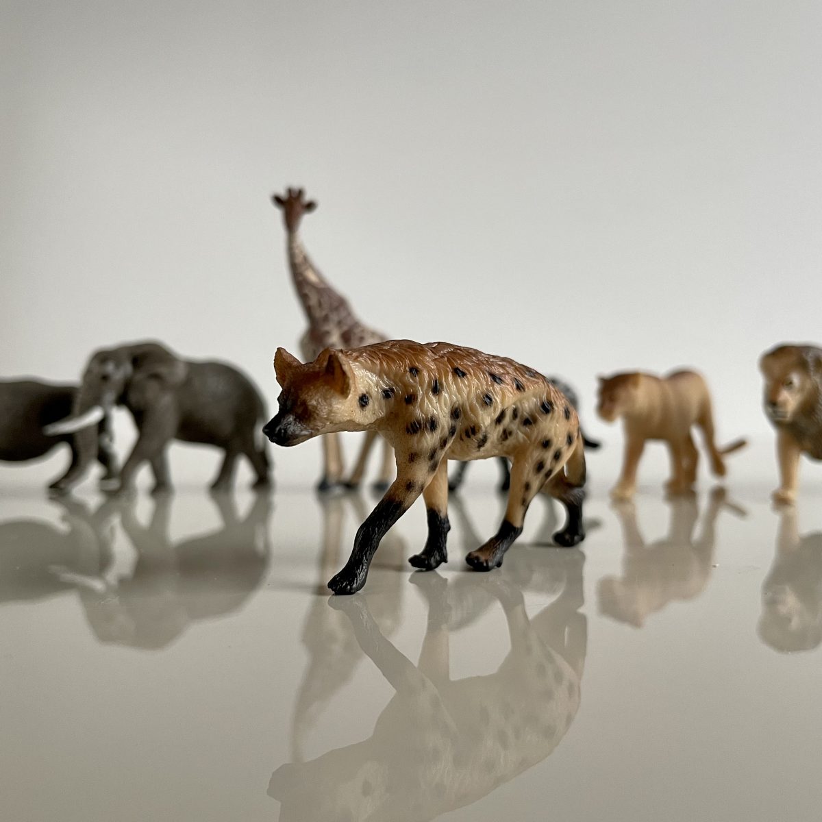 Produktowe-6 Safari Ltd: Zwierzęta Południowej Afryki. Zestaw Figurek w Tubie. - obrazek 4