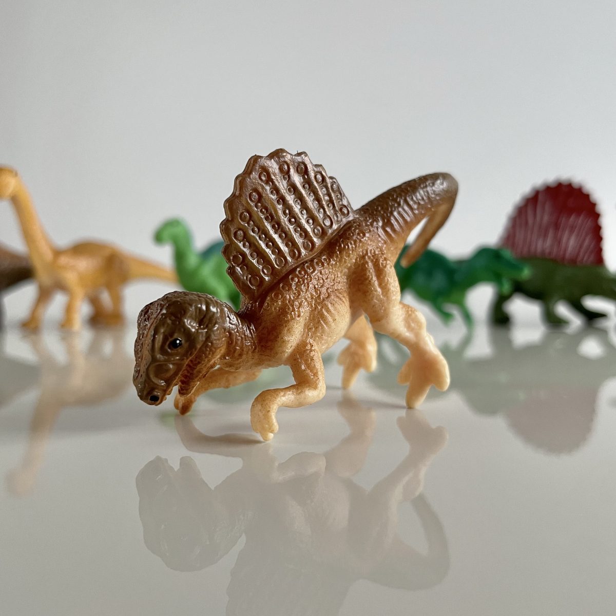 Produktowe-6 Safari Ltd: Dinozaury. Zestaw Figurek w Tubie. - obrazek 6