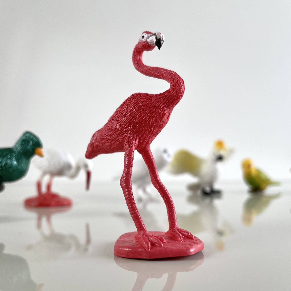 Safari Ltd: Egzotyczne Ptaki. Zestaw Figurek w Tubie. - obrazek 7