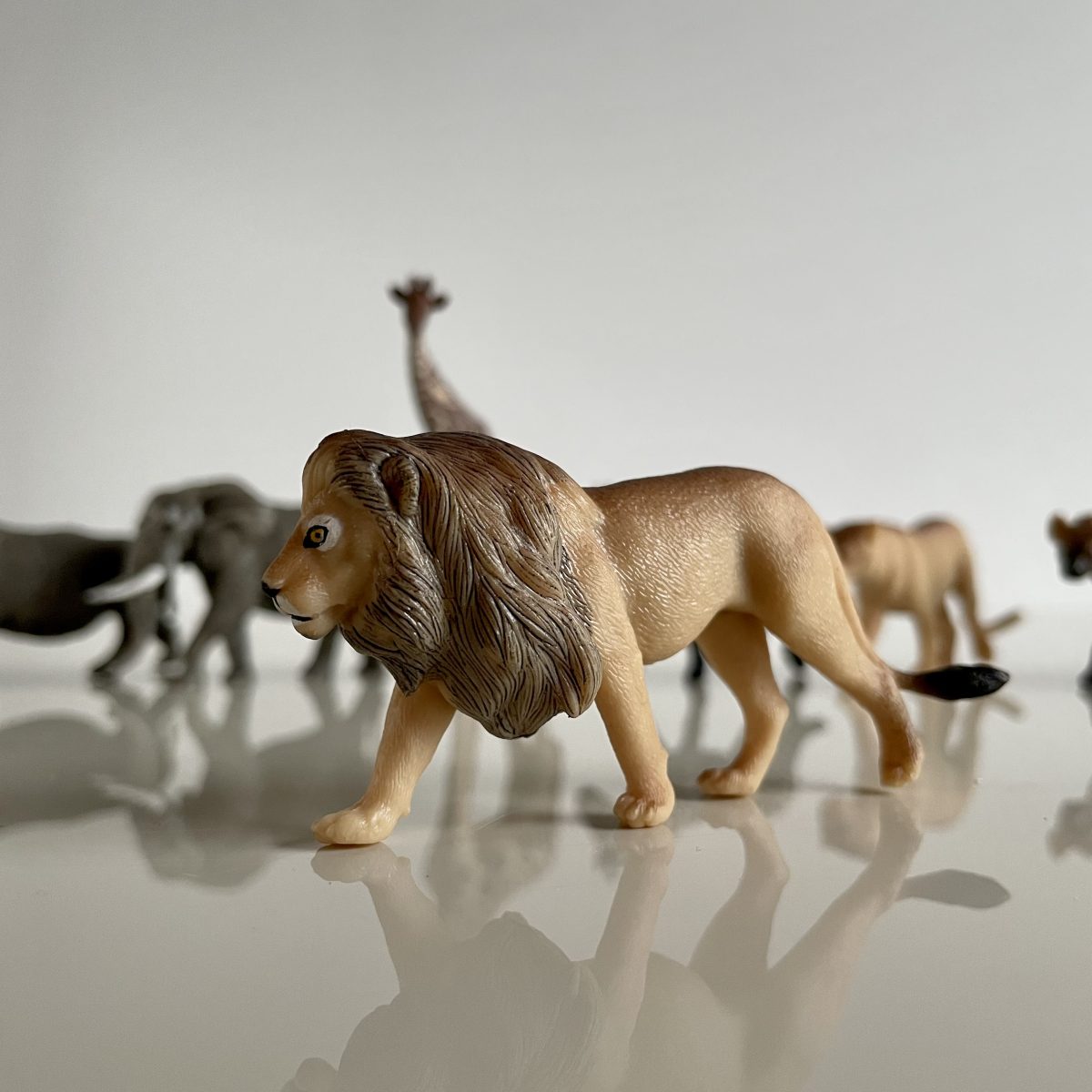 Produktowe-7 Safari Ltd: Zwierzęta Południowej Afryki. Zestaw Figurek w Tubie. - obrazek 3