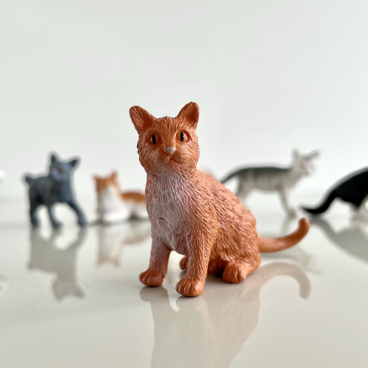 Produktowe-8 Safari Ltd: Koty Domowe. Zestaw Figurek w Tubie. - obrazek 6