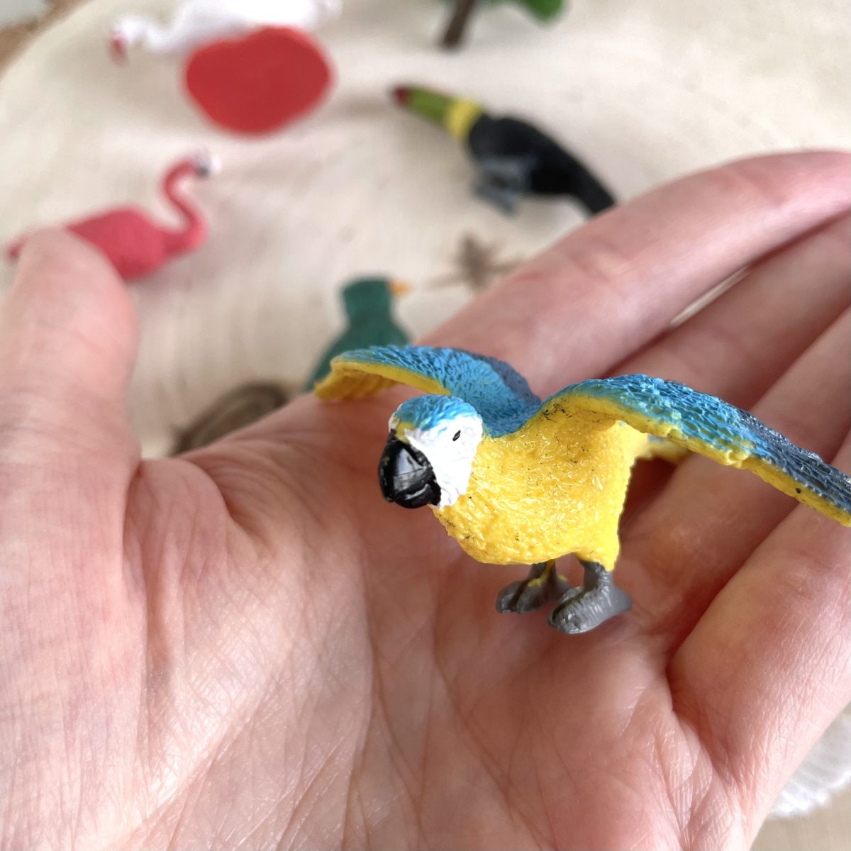 Safari Ltd: Egzotyczne Ptaki. Zestaw Figurek w Tubie. - obrazek 6