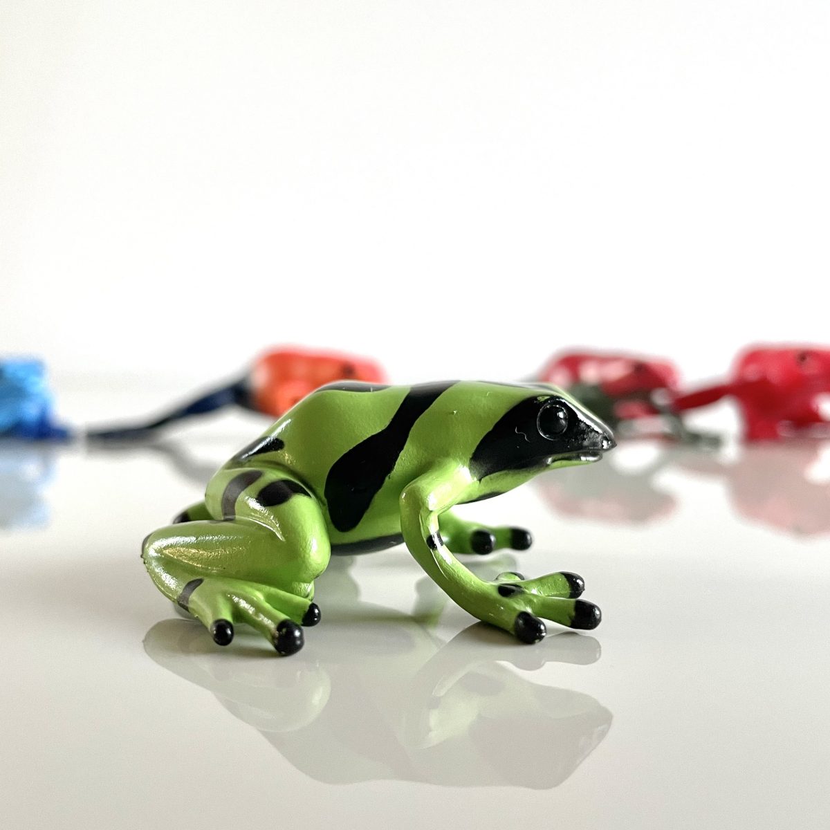 Produktowe_żaby trujące-6 Safari Ltd: Żaby Trujące Drzewołazy. Zestaw Figurek w Tubie. - obrazek 6