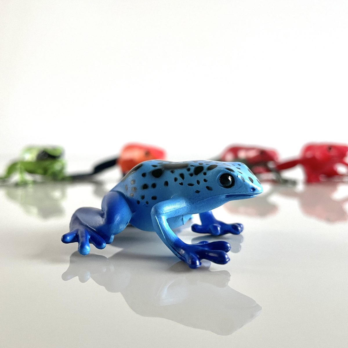 Produktowe_żaby trujące-7 Safari Ltd: Żaby Trujące Drzewołazy. Zestaw Figurek w Tubie. - obrazek 5