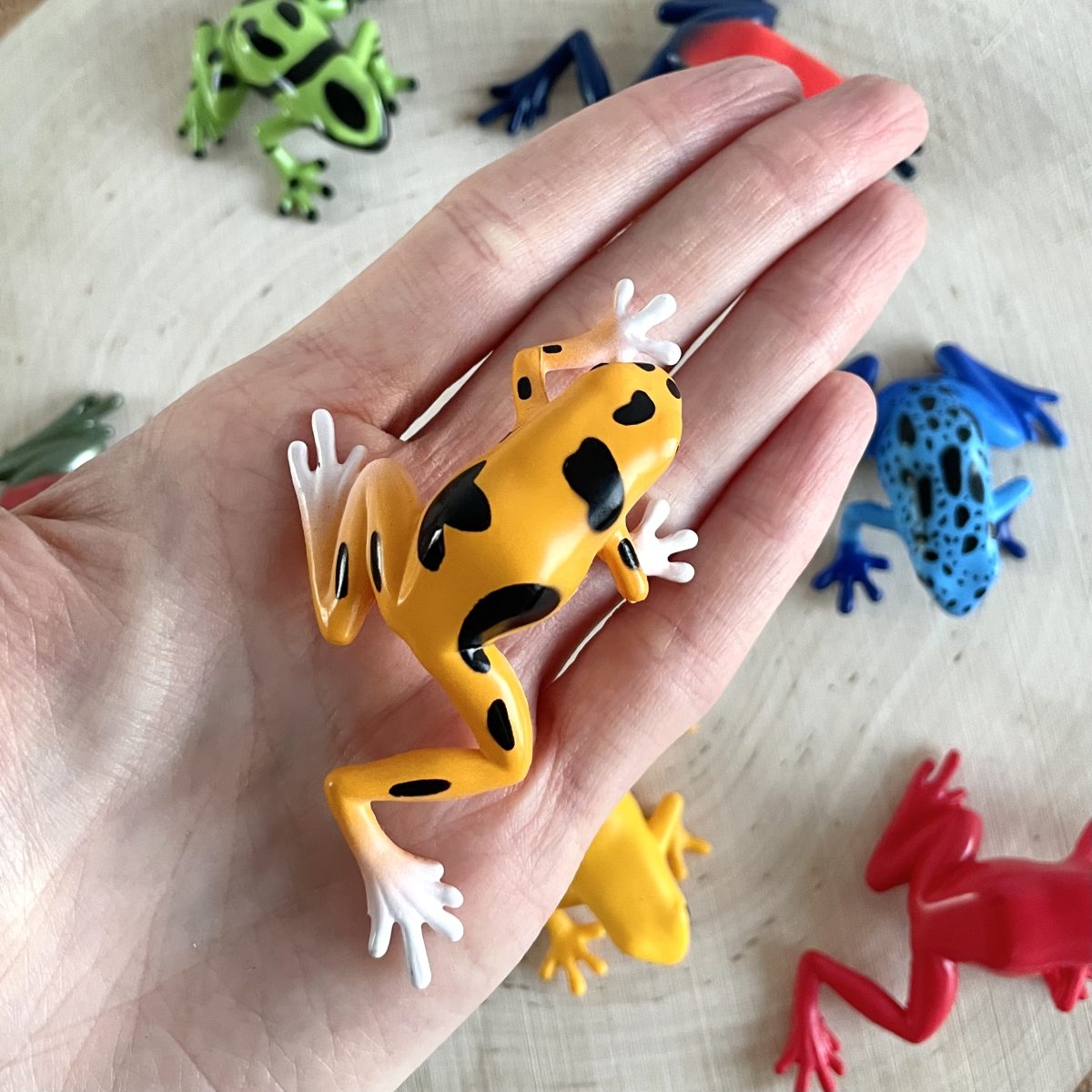 Produktowe_żaby trujące-9 Safari Ltd: Żaby Trujące Drzewołazy. Zestaw Figurek w Tubie. - obrazek 2