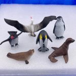 Safari Ltd: Zwierzęta Antarktydy. Zestaw Figurek w Tubie. - obrazek 4