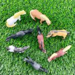 Safari Ltd: Kucyki. Zestaw Figurek w Tubie. - obrazek 3