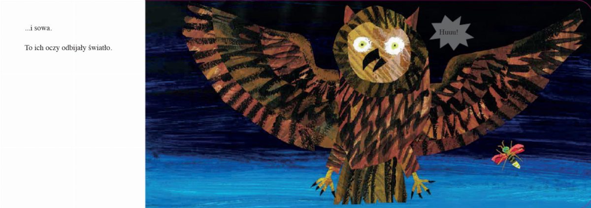 Świetlik - Eric Carle / TATARAK - obrazek 3