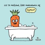 Ziemniak na rowerze - E. Gravel | Dwie Siostry - obrazek 3