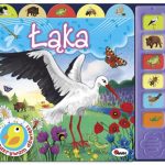 Łąka. Odkrywam dźwięki. Natalia Kawałko-Dzikowska / AWM