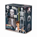 Buki: Szkielet człowieka XL - 85 cm