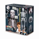 Buki: Szkielet człowieka XL - 85 cm