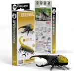 Eugy: Chrząszcz Herkules - Eko Układanka 3D - obrazek 2