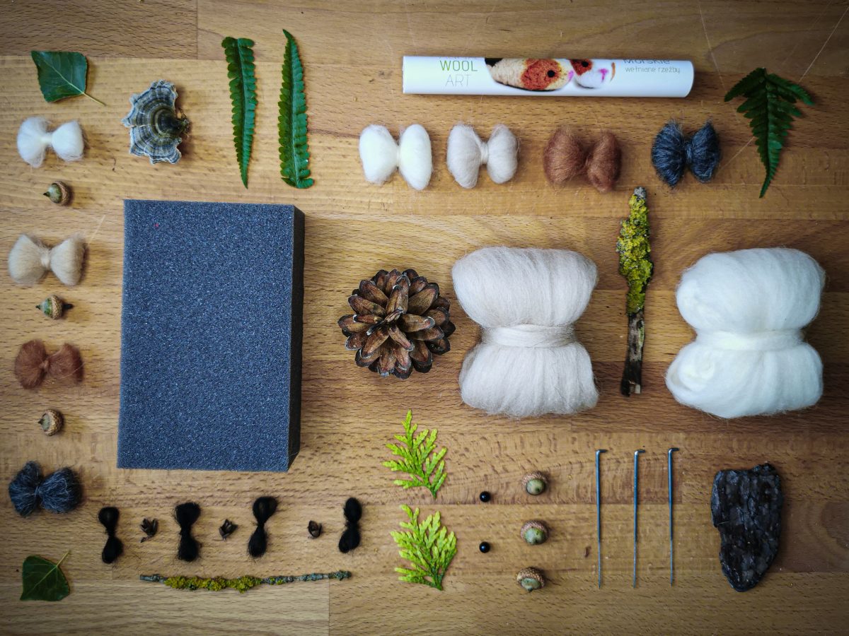 AGNA WOOL ART: Ufilcuj go sam! Zestaw do filcowania Świnki Morskie - obrazek 3