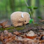 AGNA WOOL ART: Ufilcuj go sam! Zestaw do filcowania Żubr - obrazek 2