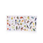 Moulin Roty: Naklejki BOTANIKA - obrazek 2