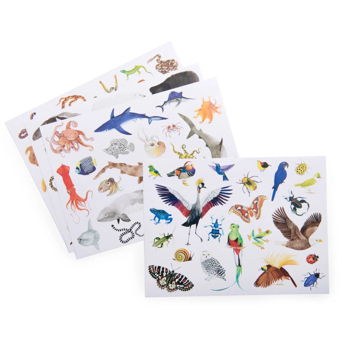 Moulin Roty: Naklejki ZWIERZĘTA ŚWIATA - obrazek 2