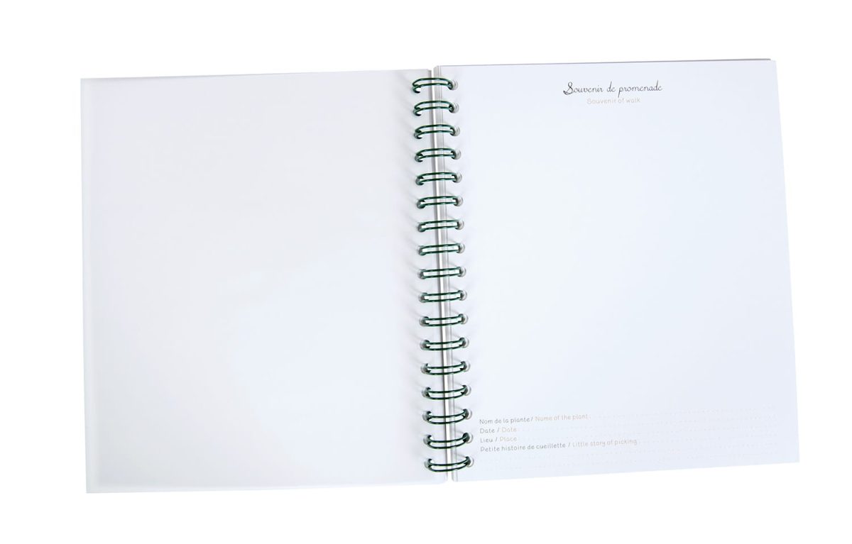 712600XZ Moulin Roty: Herbarium - zielnik LE JARDIN DU MOULIN - obrazek 2