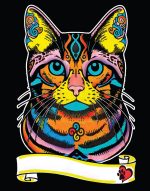 COLORVELVET: Kolorowanka Welwetowa A4 Kot Europejski - obrazek 2