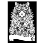 COLORVELVET: Kolorowanka Welwetowa A4 Kot Norweski
