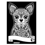 COLORVELVET: Kolorowanka Welwetowa A4 Chihuahua