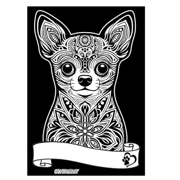 COLORVELVET: Kolorowanka Welwetowa A4 Chihuahua