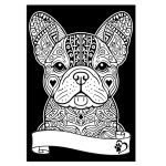 COLORVELVET: Kolorowanka Welwetowa A4 Buldog Francuski