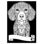 COLORVELVET: Kolorowanka Welwetowa A4 Beagle