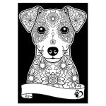 COLORVELVET: Kolorowanka Welwetowa A4 Jack Russell Terrier