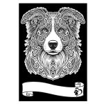 COLORVELVET: Kolorowanka Welwetowa A4 Border Collie