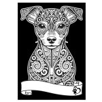 COLORVELVET: Kolorowanka Welwetowa A4 Pinczer