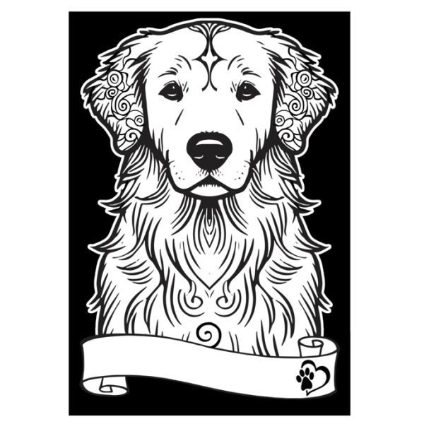 COLORVELVET: Kolorowanka Welwetowa A4 Golden Retriever
