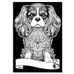 COLORVELVET: Kolorowanka Welwetowa A4 Cavalier King Charles Spaniel