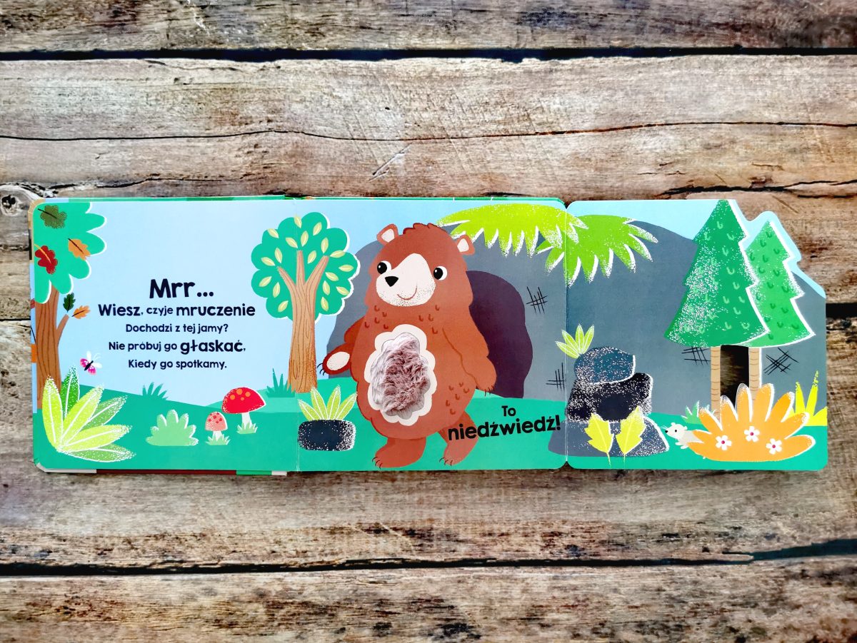 qrf Zwierzęta w lesie. Akademia mądrego dziecka. Dotykam, zgaduję / HarperKids - obrazek 3