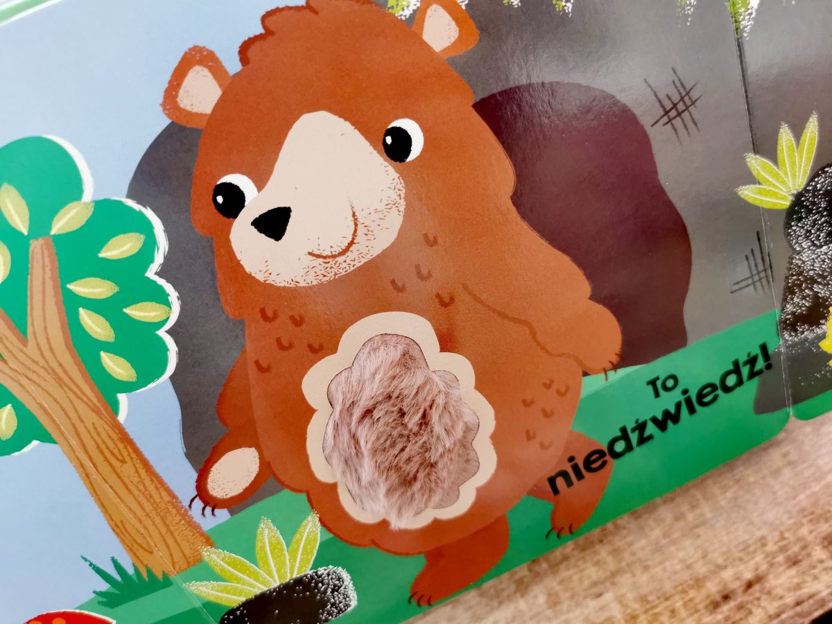 qrf Zwierzęta w lesie. Akademia mądrego dziecka. Dotykam, zgaduję / HarperKids - obrazek 2