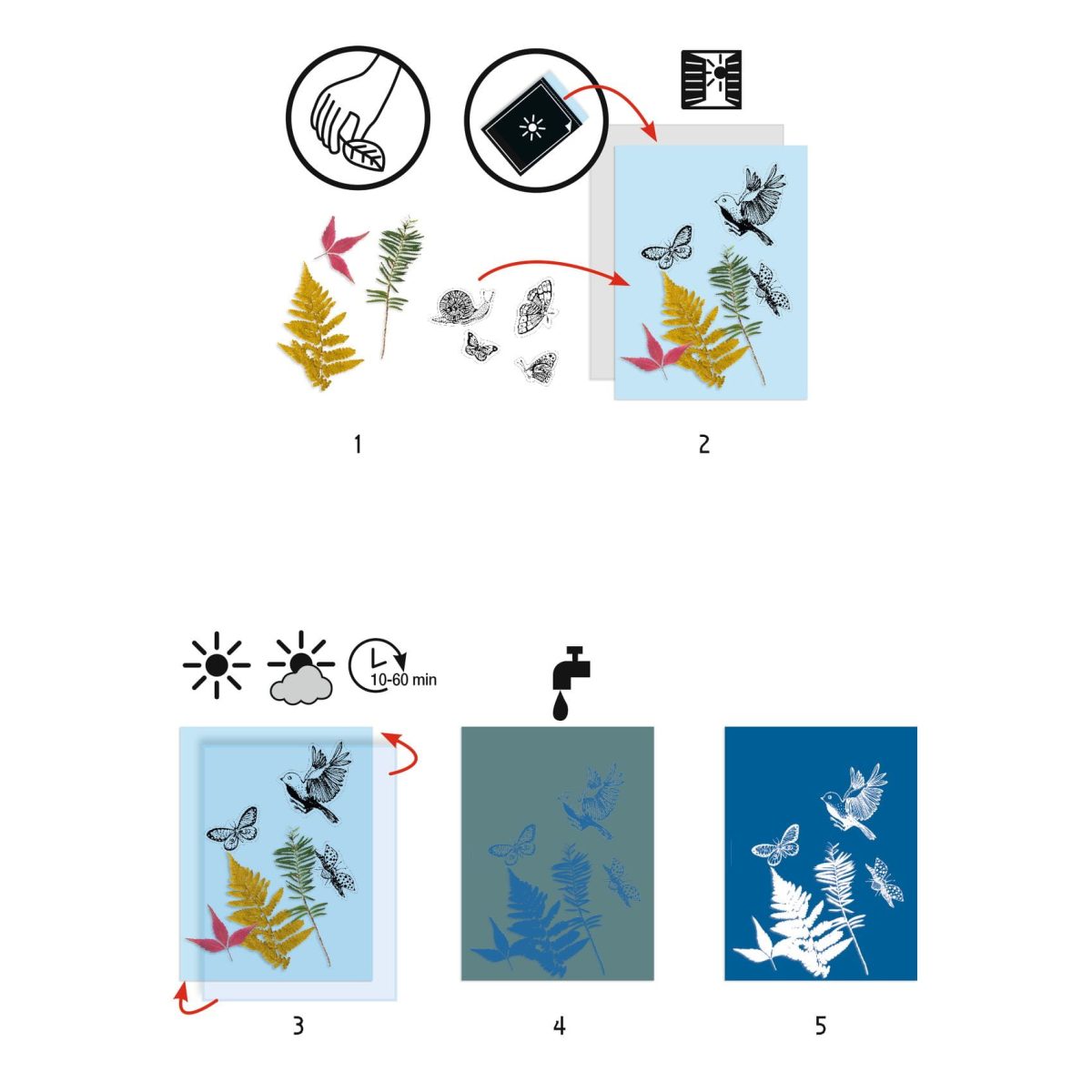 Djeco: Zestaw artystyczny cyjanotypia LAS 7+ - obrazek 2