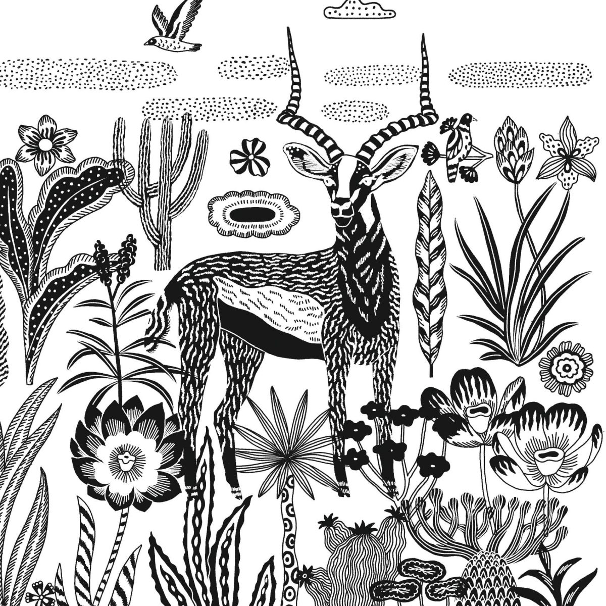 Djeco: Zestaw artystyczny cyjanotypia SAWANNA 7+ - obrazek 4